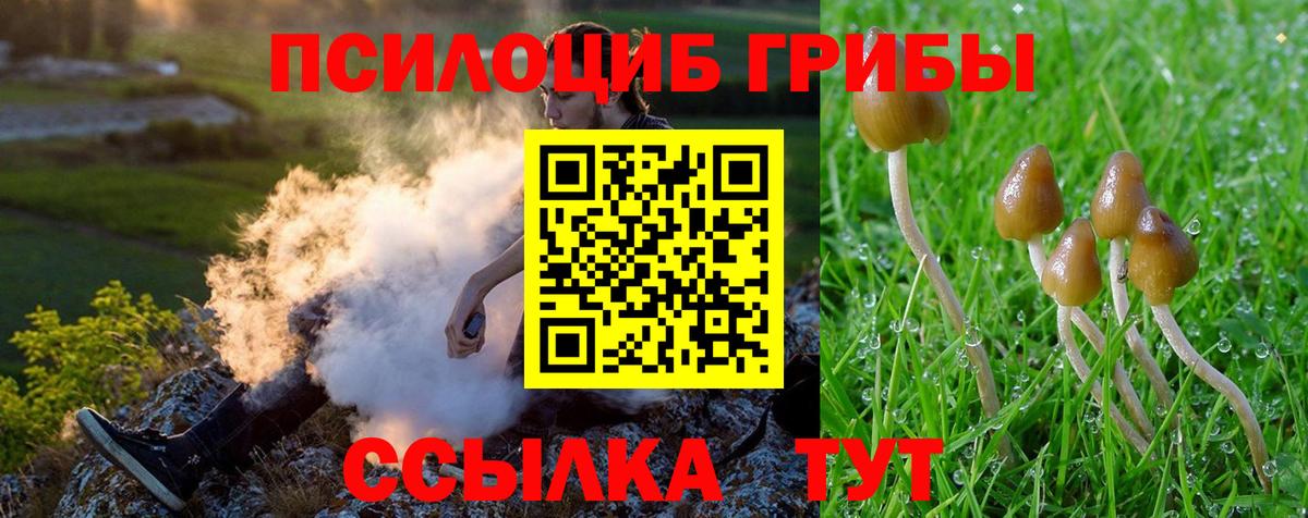 Галлюциногенные грибы Magic Shrooms Кузнецк