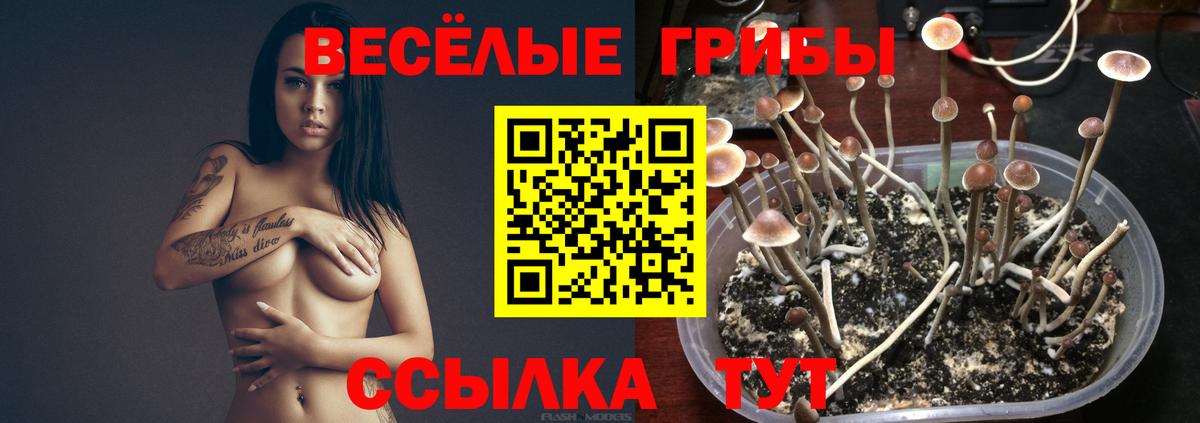 Галлюциногенные грибы Magic Shrooms  Вход с VPN  Кузнецк 